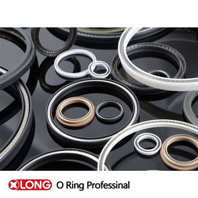 PTFE Spring Energized Hydraulic Oil Seal Ring Spring Seal Sealing Ring