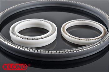 Segell de pistó estàtic de PTFE energitzat per moll